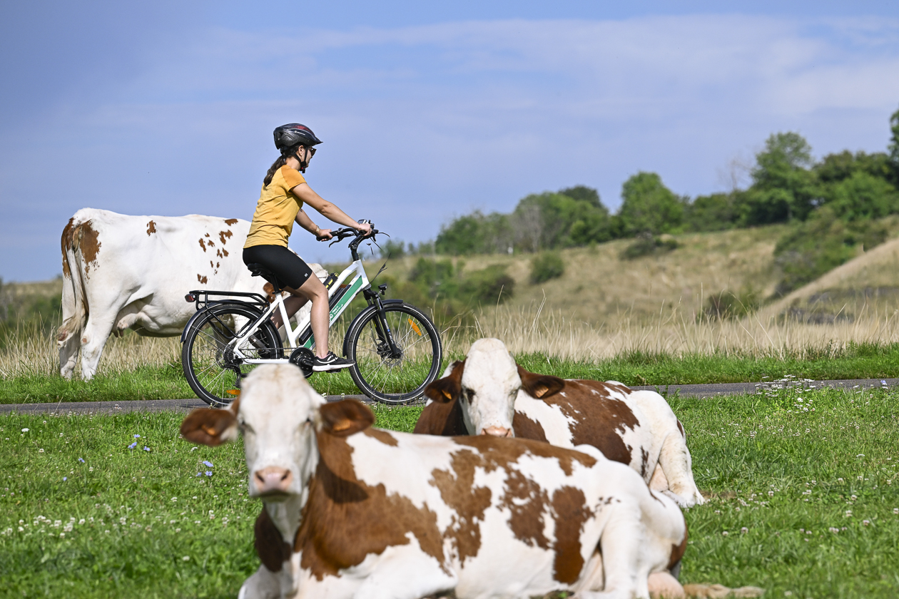 Reportage points noeuds Doubs Tourisme Laurent Cheviet 102