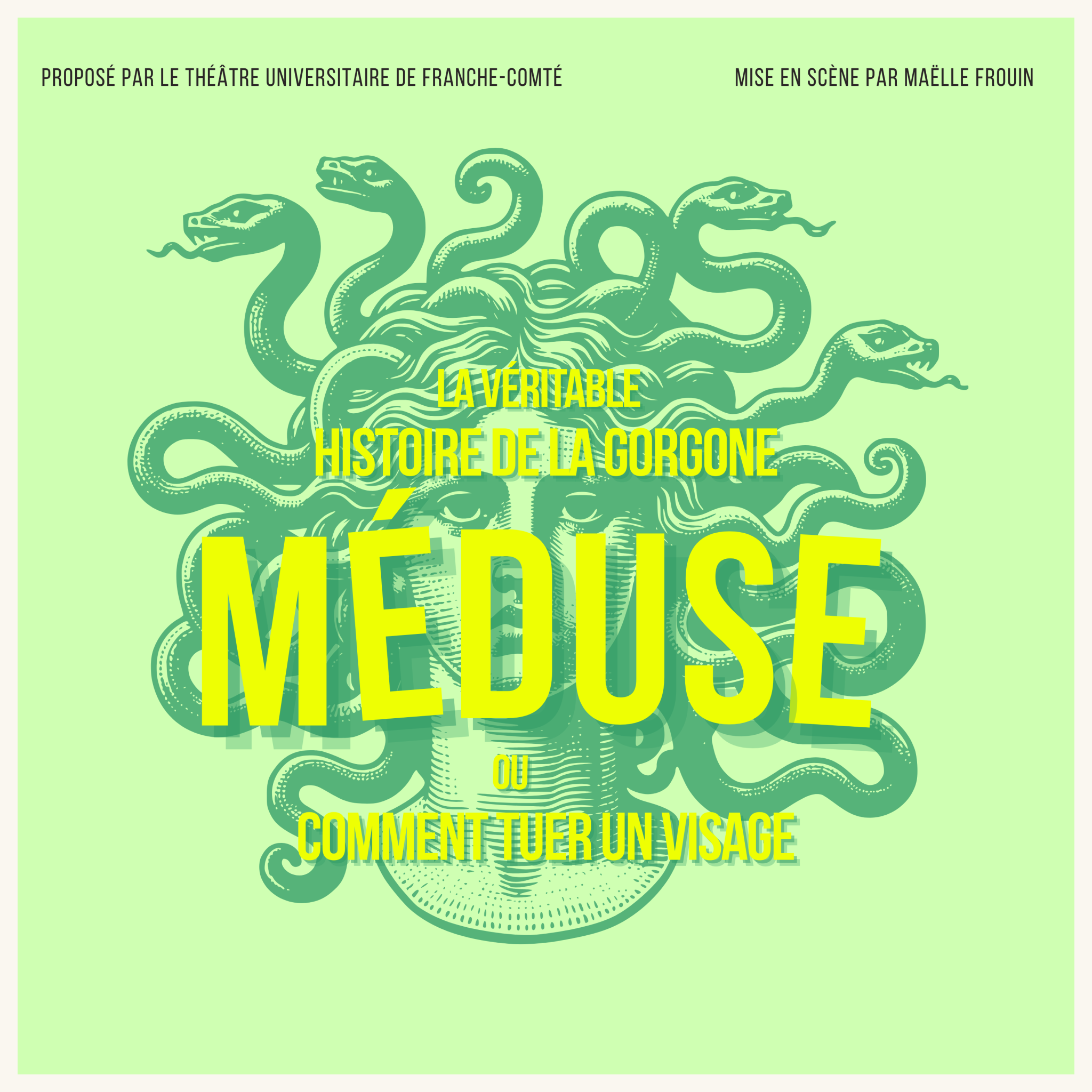 Meduse ok scaled
