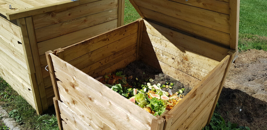 311992607_5576164499105330_7937524136572056610_n