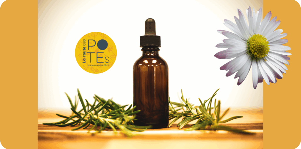 Illustration macérat huileux