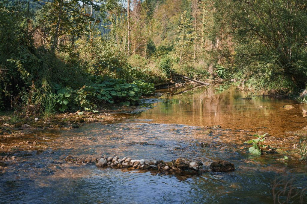 CCPSB-LQ-51-ruisseau