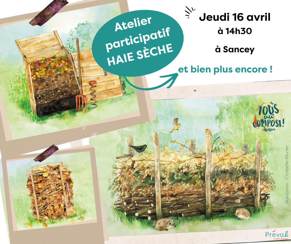 Atelier compostage - 5