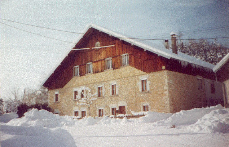 APPARTEMENT 1 - NOËL  ET REINE PETIT_1