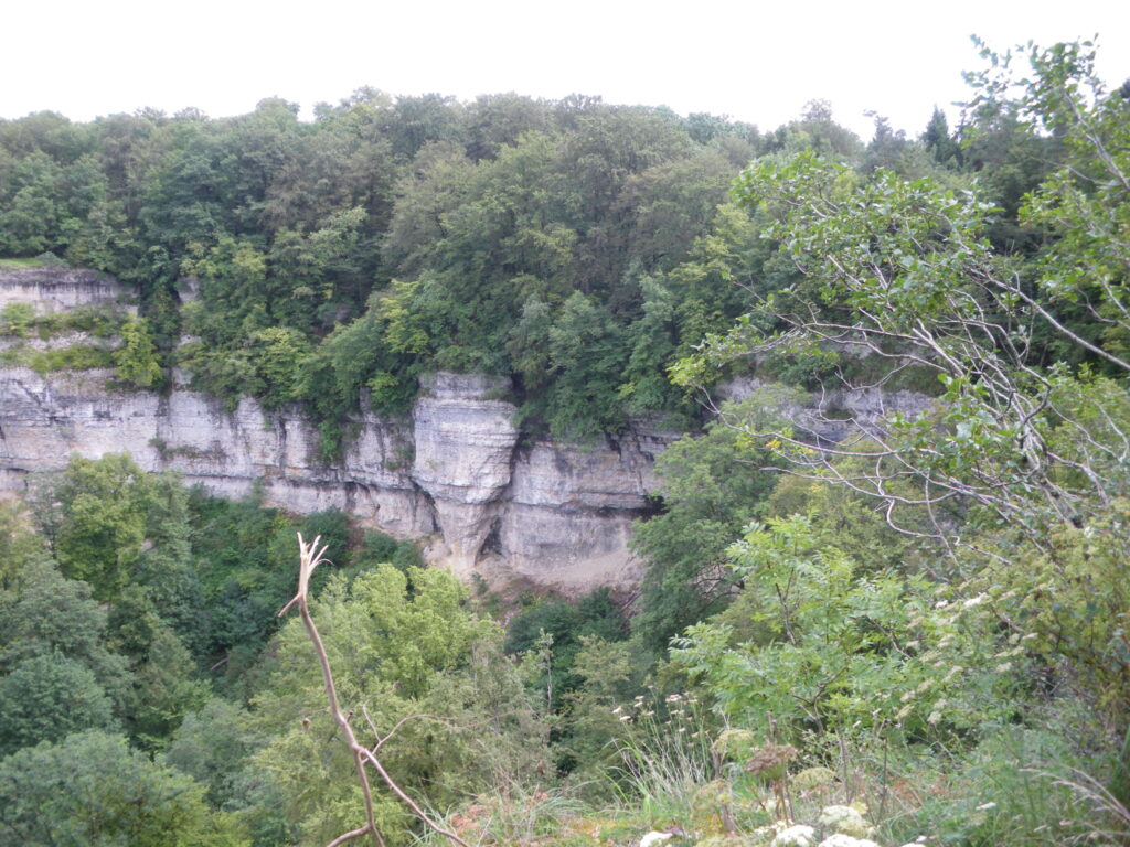 Le Dard - Point de vue (4)_1