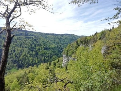 Creux de Hauteroche_1